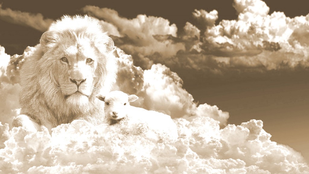 lion lambs lion lambs
